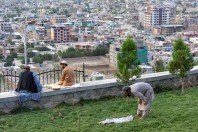 Bibi Mahro, Kabul