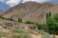 Paghman