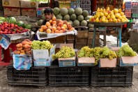 Selling fruits, Paghman