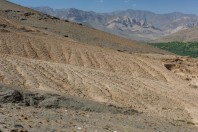 Jalrez, Wardak