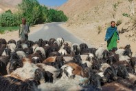 On the way to Bamiyan, Wardak