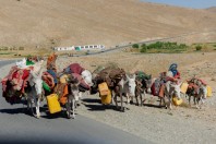 Kochi people, Wardak