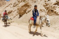 Sumara, Bamyan