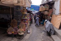 Bird Market, Kabul