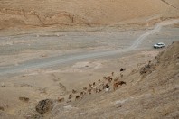Taloqan