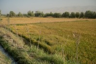 Taloqan
