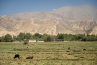 Dahan-e Arbeshan