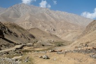 Archar