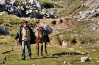 Shepherd, SE Albania