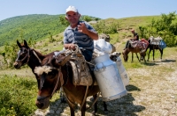 Pastevci, jižní Albánie