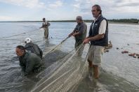 Fishermen, Divjake-Karavasta NP