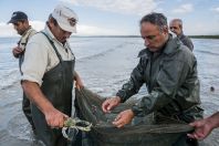 Fishermen, Divjake-Karavasta NP