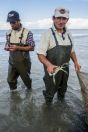 Fishermen, Divjake-Karavasta NP