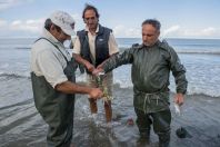 Fishermen, Divjake-Karavasta NP