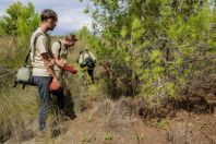 Herping, Divjake-Karavasta NP