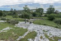 Orikum Archaeological Park