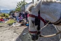 Market, Elbasan
