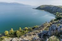 Jezero Ohrid, Lin