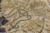 Fresco, Lin