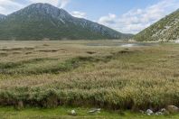 Lake of Small Prespa, Buzëliqen