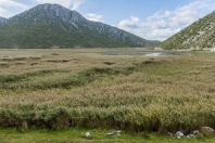 Malá Prespa, Buzëliqen