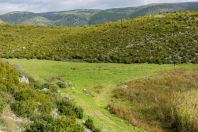 Lake of Small Prespa, Buzëliqen