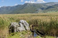 Lake of Small Prespa, Buzëliqen