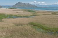 Lake Skadar, Virpazar