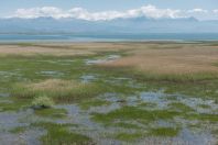 Lake Skadar, Virpazar