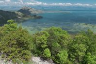 Skadarské jezero, Virpazar