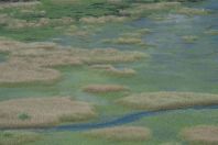 Lake Skadar, Poseljani