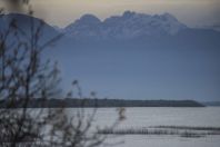 Skadar Lake