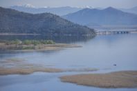 Skadar Lake