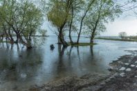 Skadar Lake, Grude Fushë