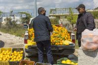 Sale of lemons, Vlorë