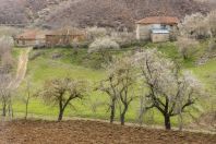 Spring, Çervenakë