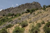 Garni