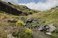 Aragats