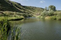 Pond, Astvatsnkal