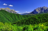 Sutjeska Canyon