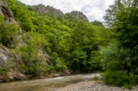 Pčinja river