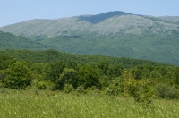 Galichica Mts.