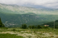 NP Galichica