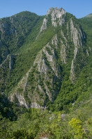 Canyon Matka