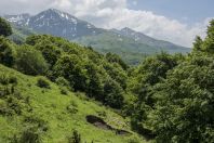 Šar Mountains