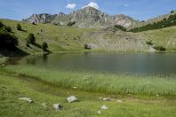 Bokumirsko jezero, Đebeza