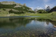 Bokumirsko jezero, Đebeza