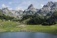 Bokumirsko jezero, Đebeza