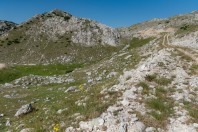 Obalj, Zelengora