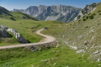 Obalj, Zelengora